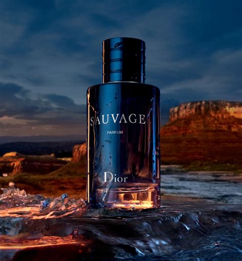 dior men sauvage|dior sauvage men women.